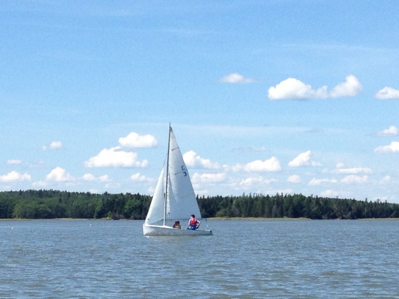 Picture